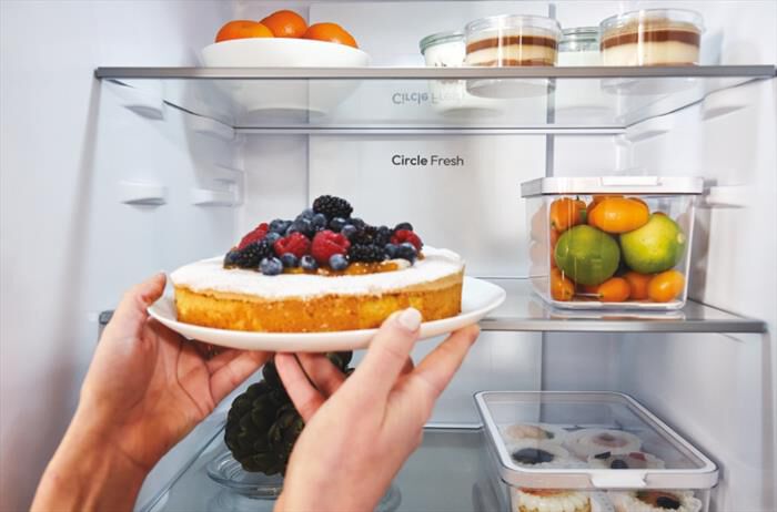 CANDY - Frigorifero combinato CNCQ2T620EB Classe E 409 lt-Black