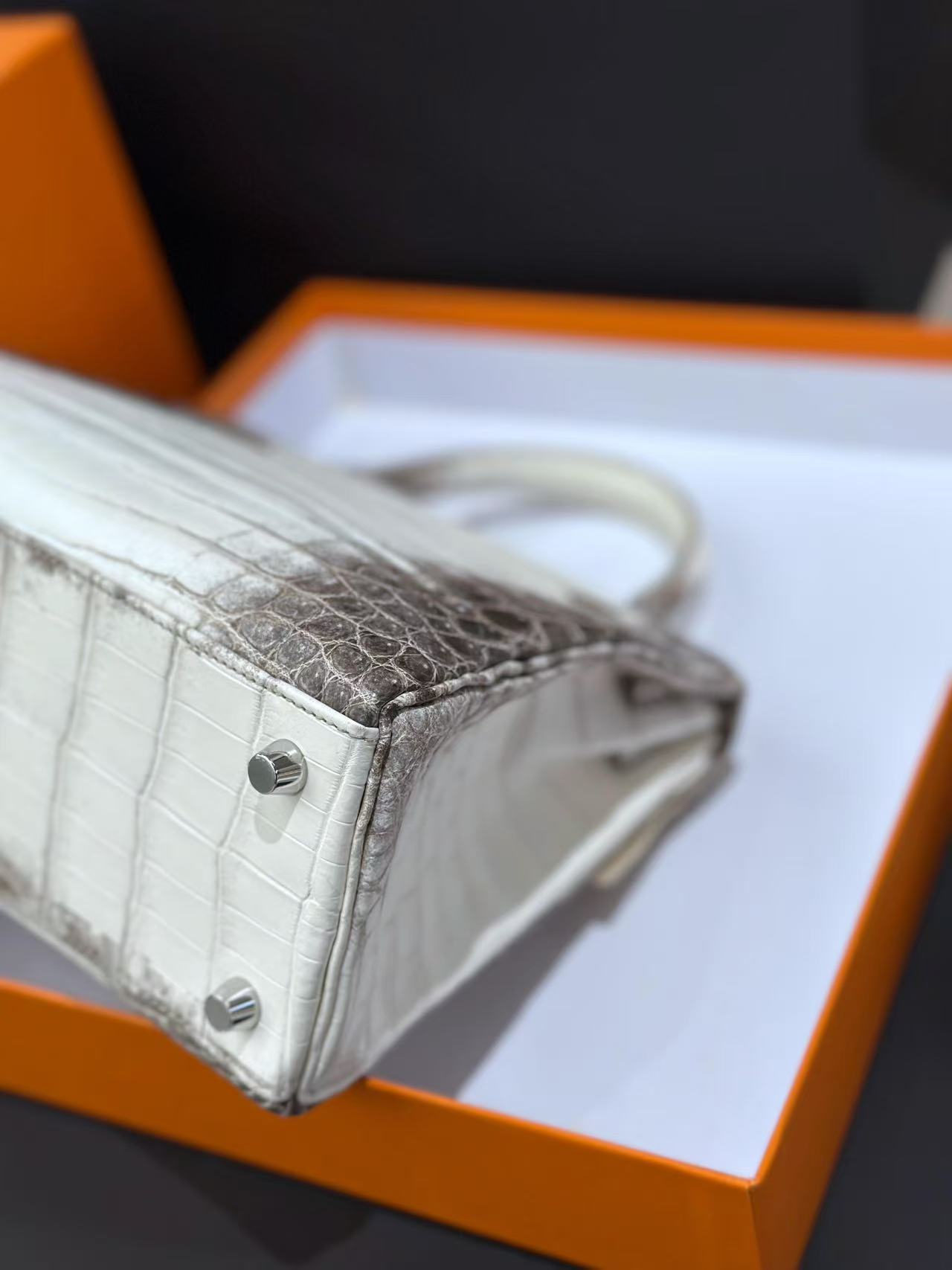 Kelly Himalayan 35cm crocodile skin