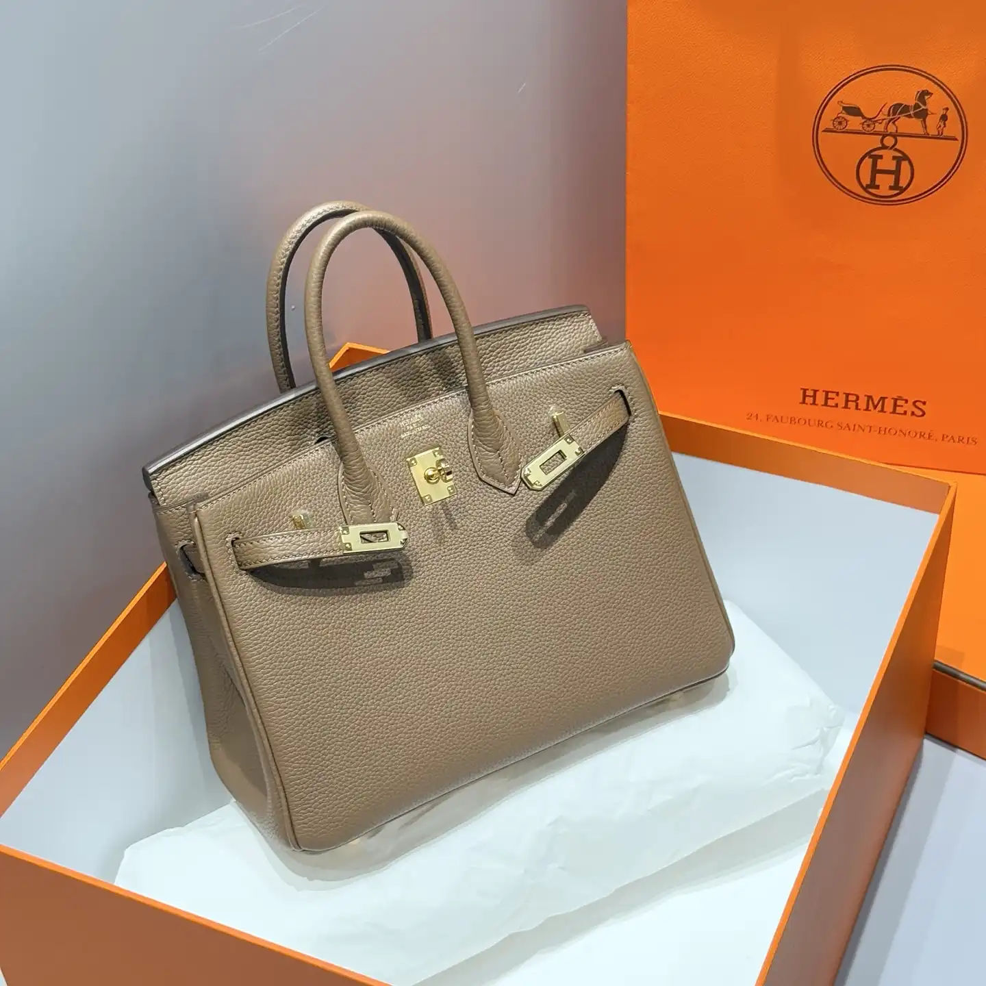 Togo Birkin 25 - Artisantouchss