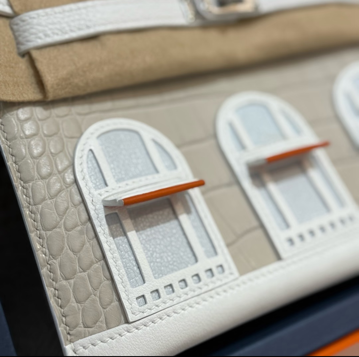 Hermès Birkin 20 Silver Buckle Platinum Bag customization