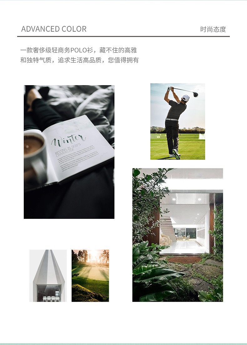 ‌Classic Fit Cotton Polo Shirt for Men – Timeless Style, All-Day Comfort