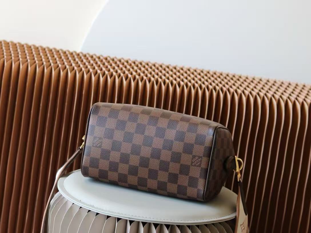LV Speedy Damier bag,-high quality