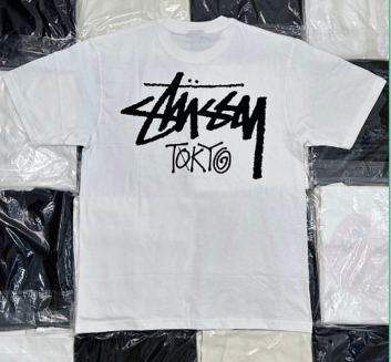 stussy t-shirt