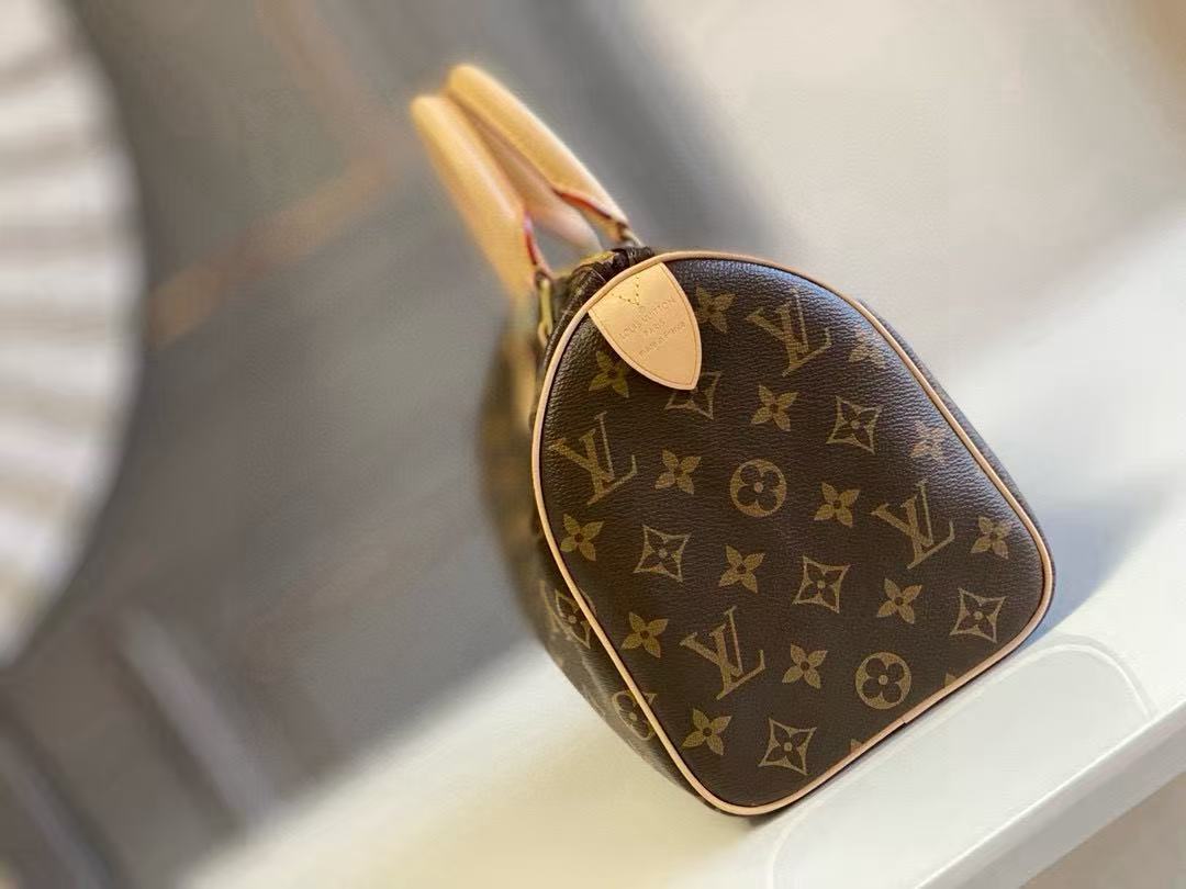 LV Speedy 25 Handbag