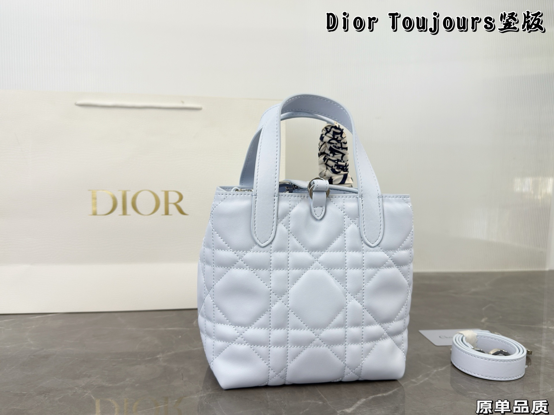Dior Toujours Bag