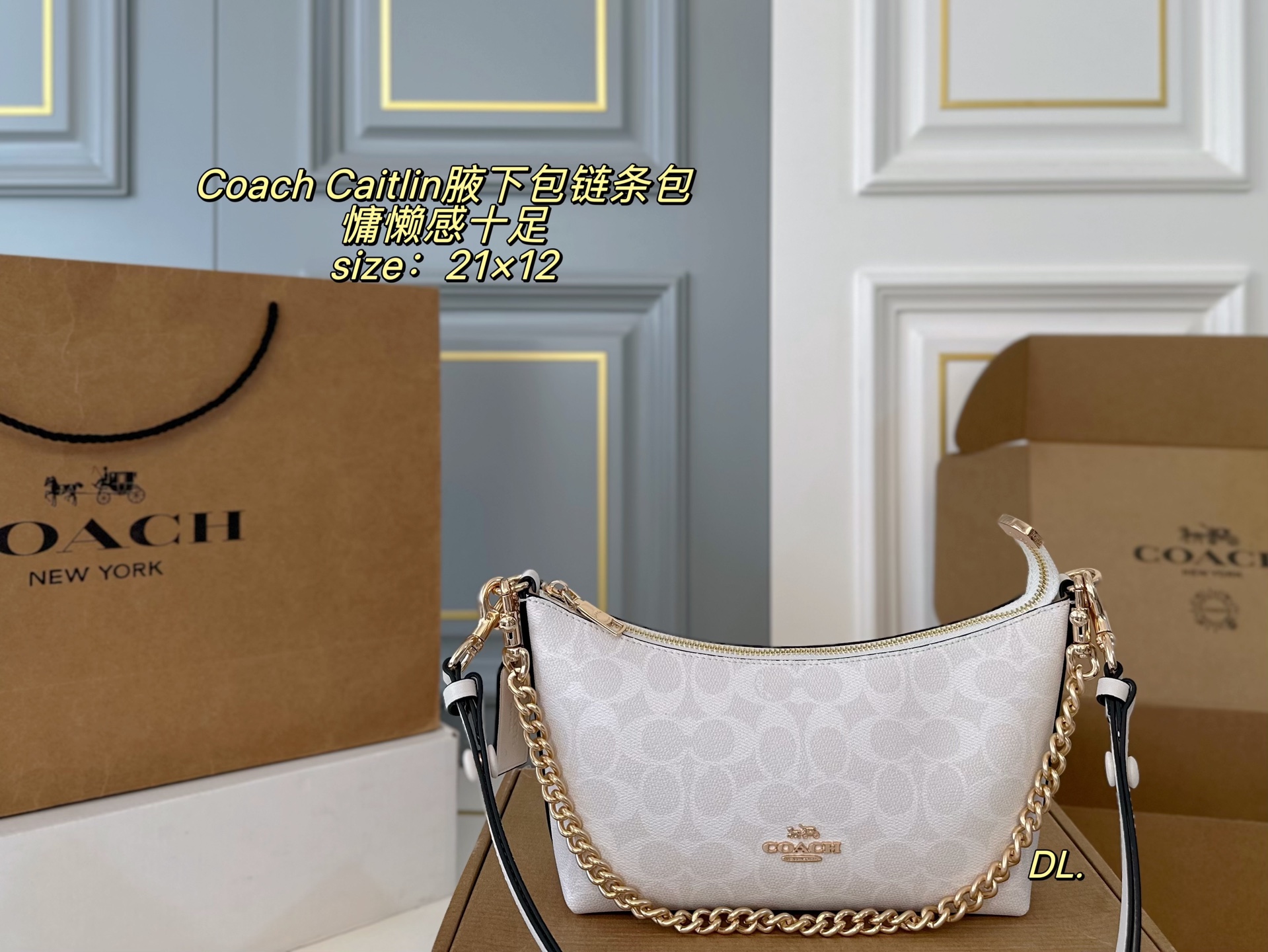 Coach Caitlin underarm chain bag