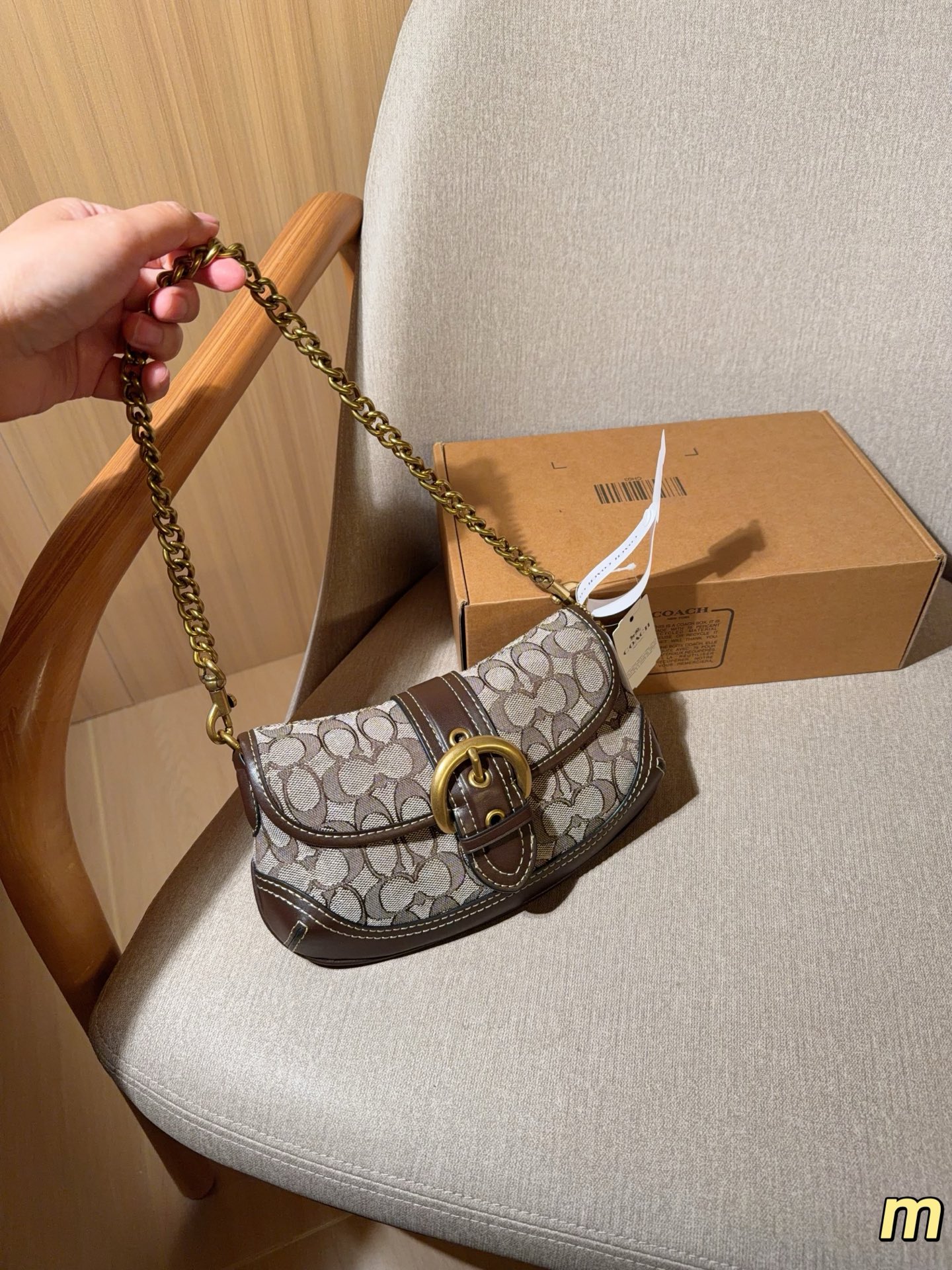 Coach's New Soho Underarm Bag Pea Buns Bag