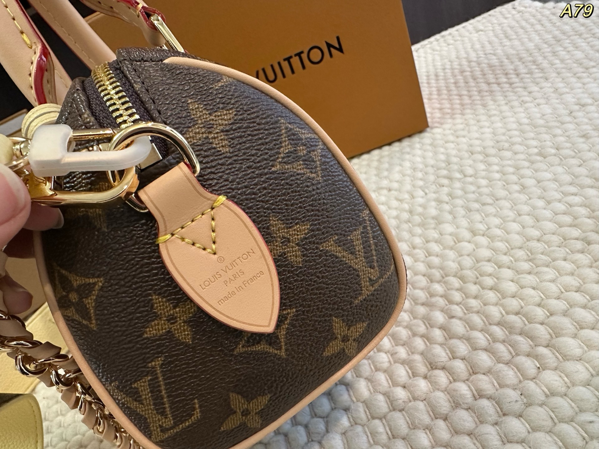 LV Speedy Pillow Bag