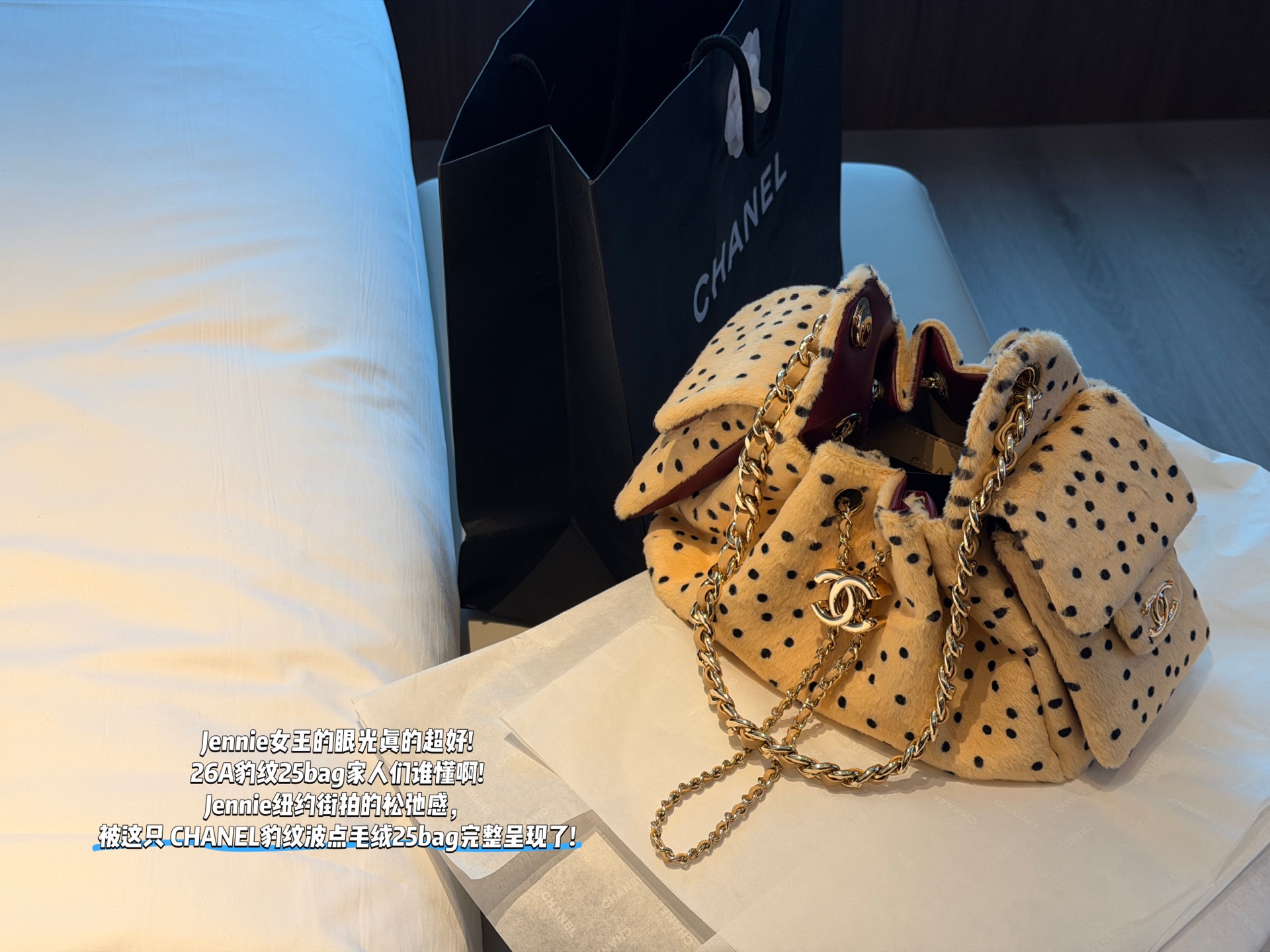 CHANEL 26A Leopard Print 25 Bag