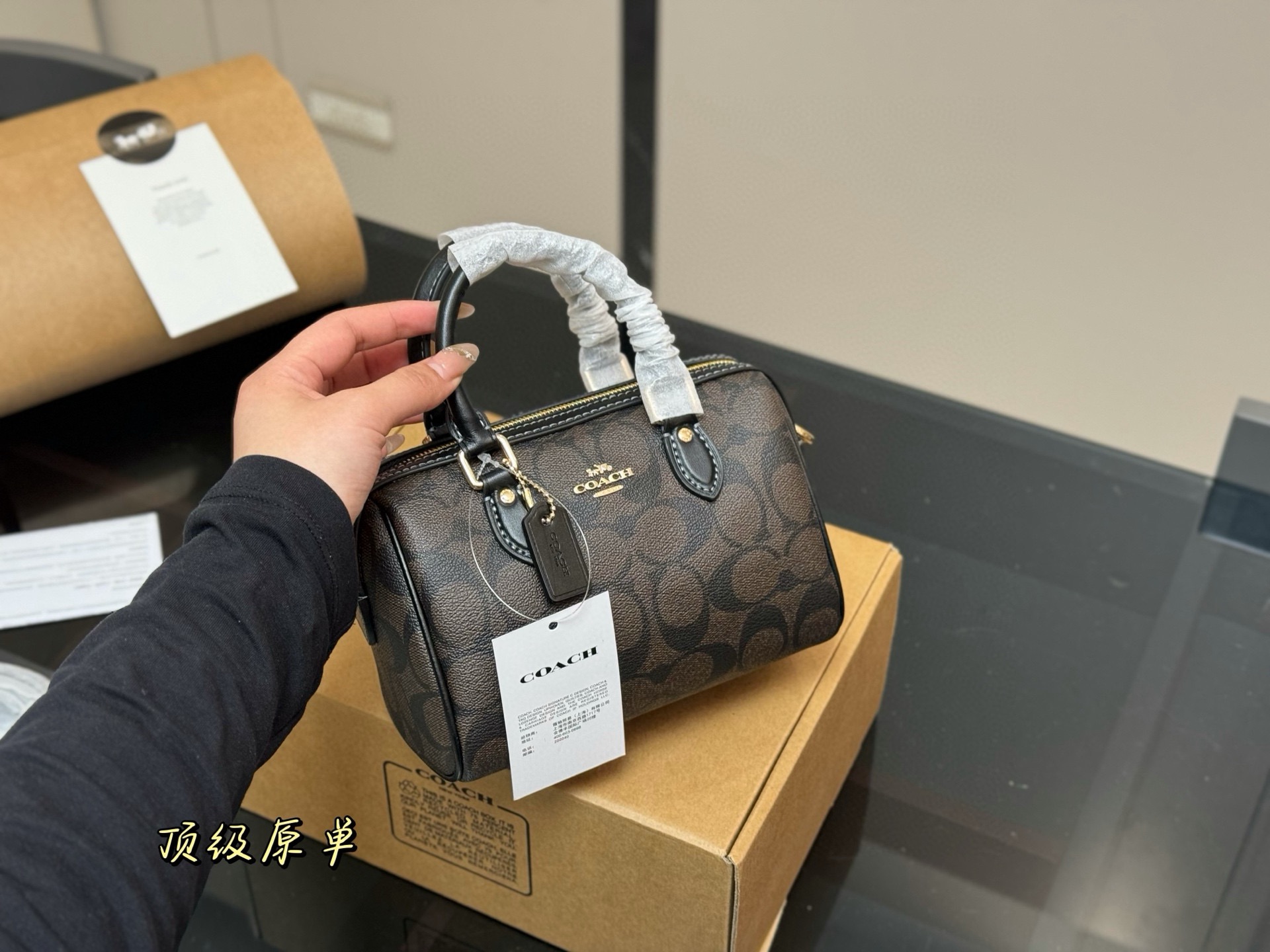 Coach Mini Pillow Bag