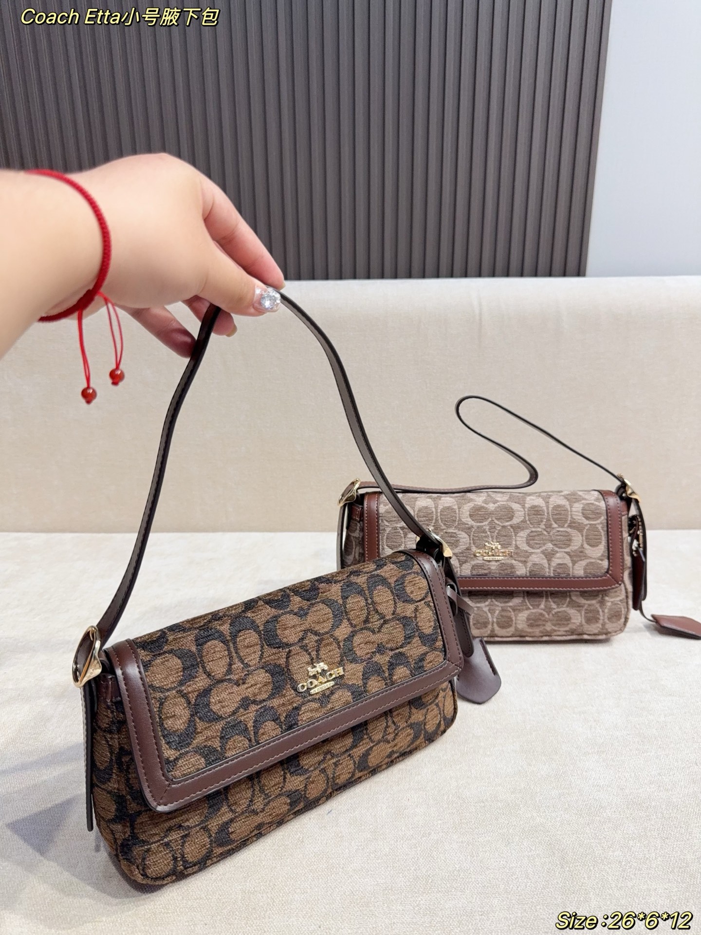 Coach Etta Small Underarm Bag