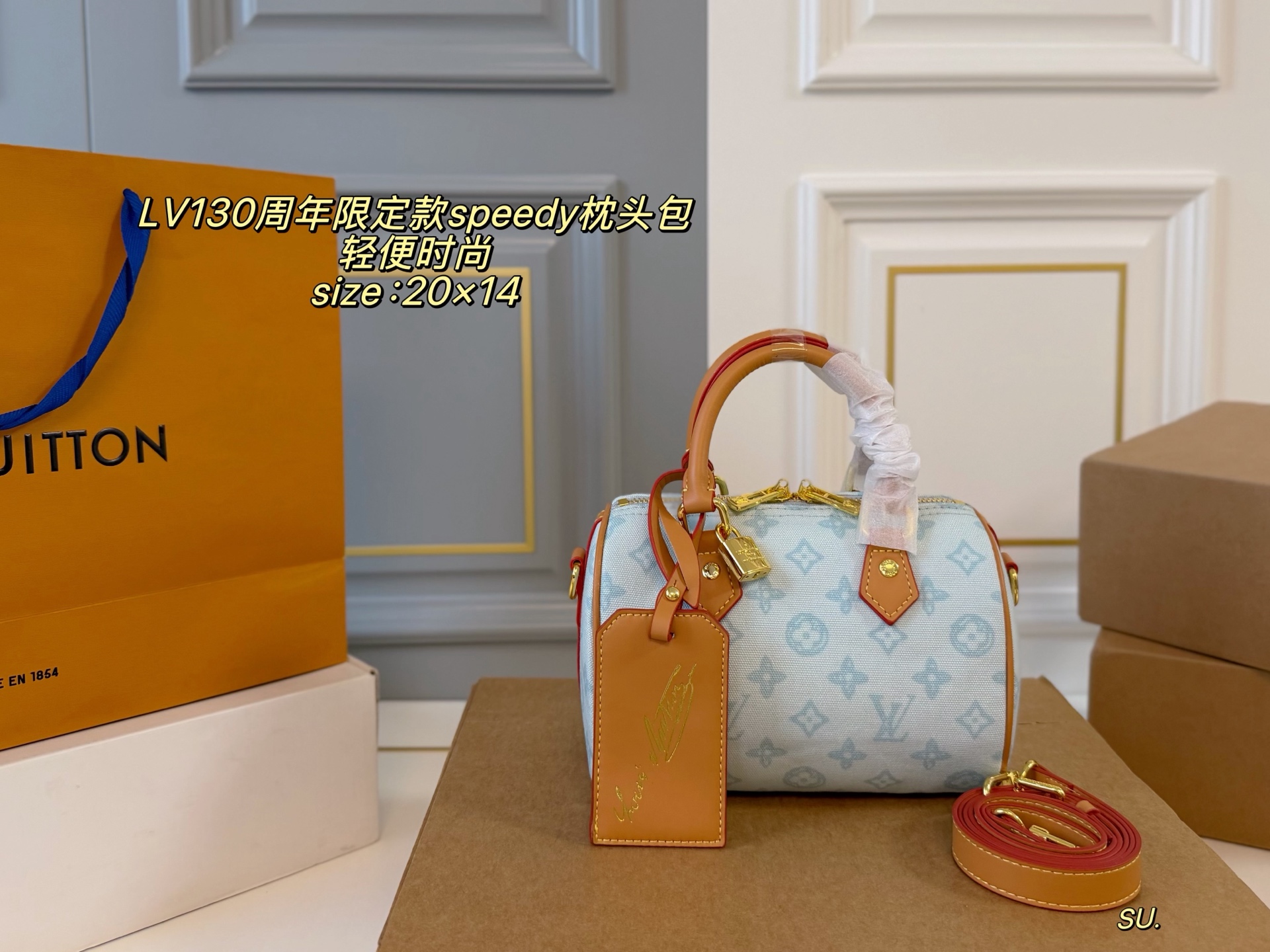 LV candy-colored Speedy pillow bag