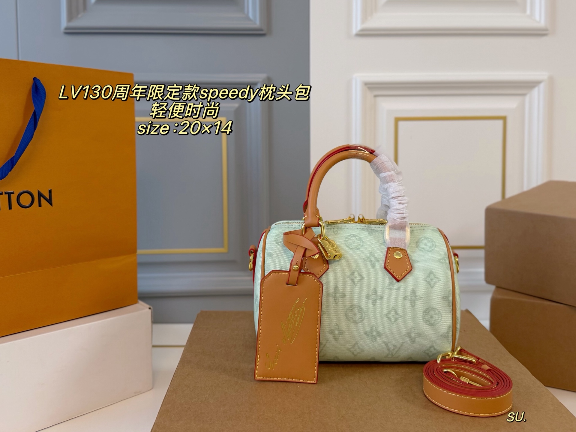 LV candy-colored Speedy pillow bag