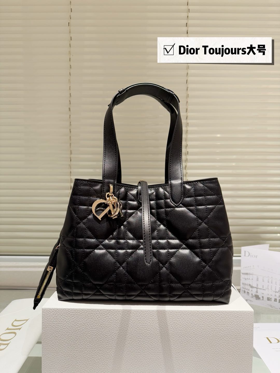Dior Toujours Transformed Tote Bag