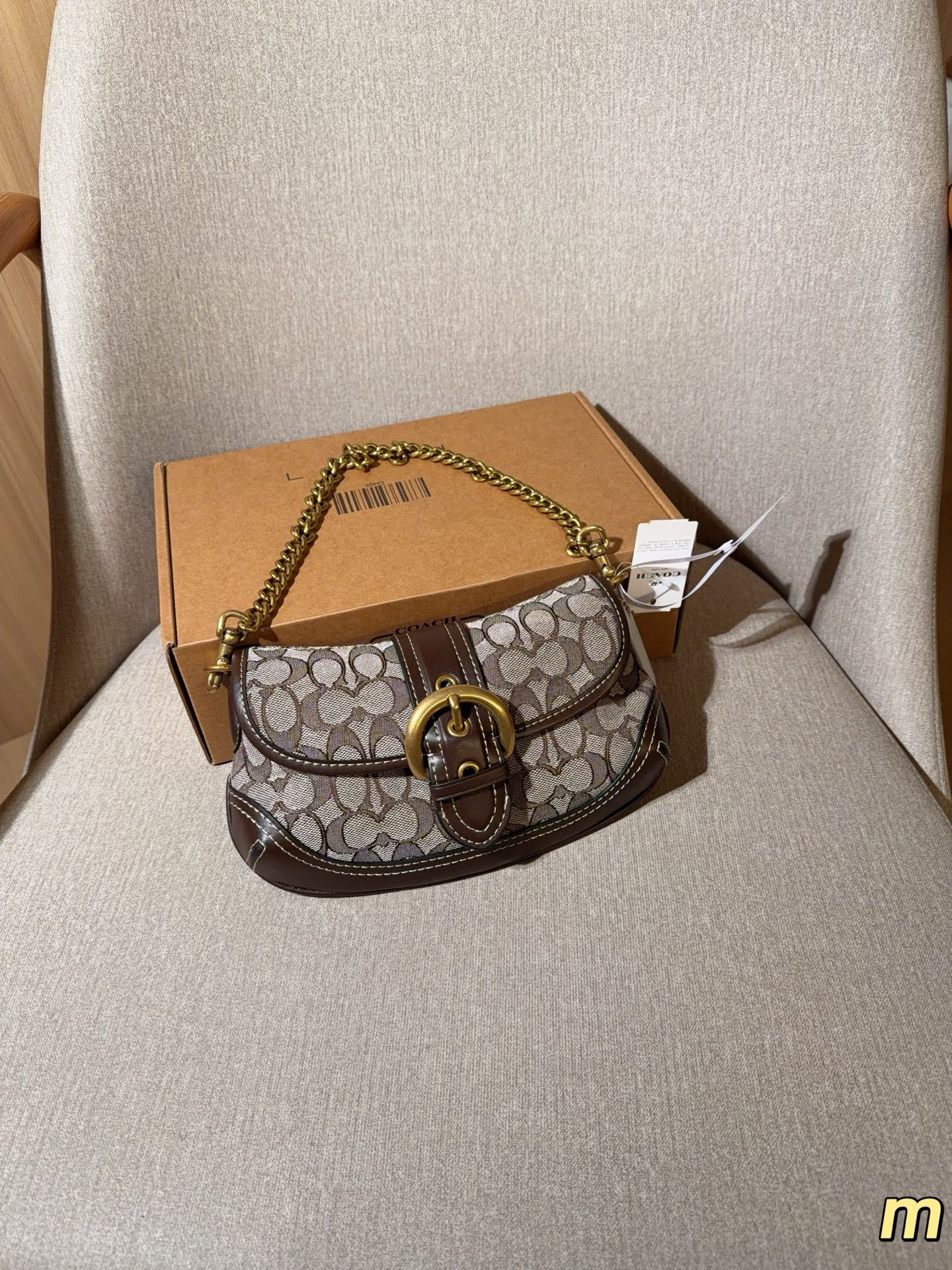 Coach's New Soho Underarm Bag Pea Buns Bag