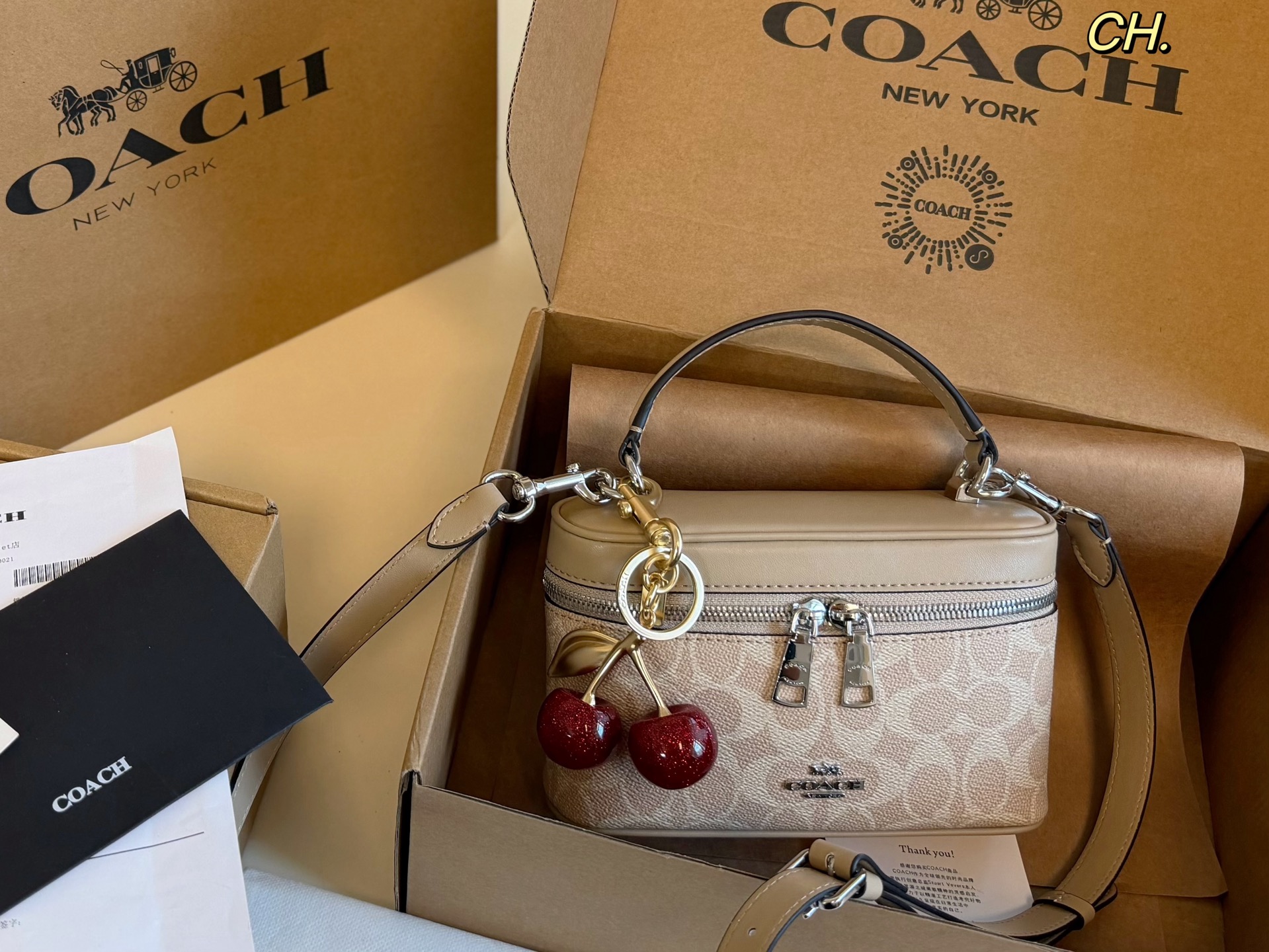 COACH Rainer box bag