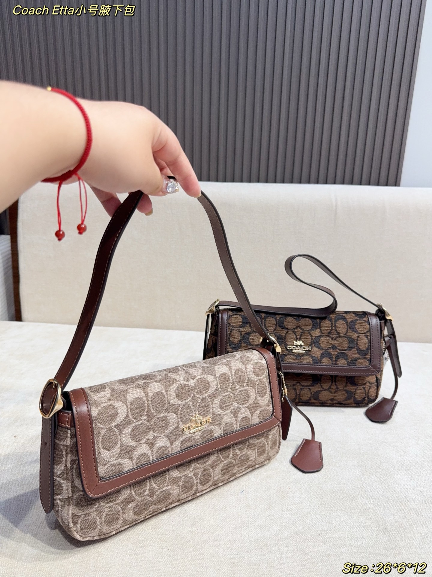 Coach Etta Small Underarm Bag