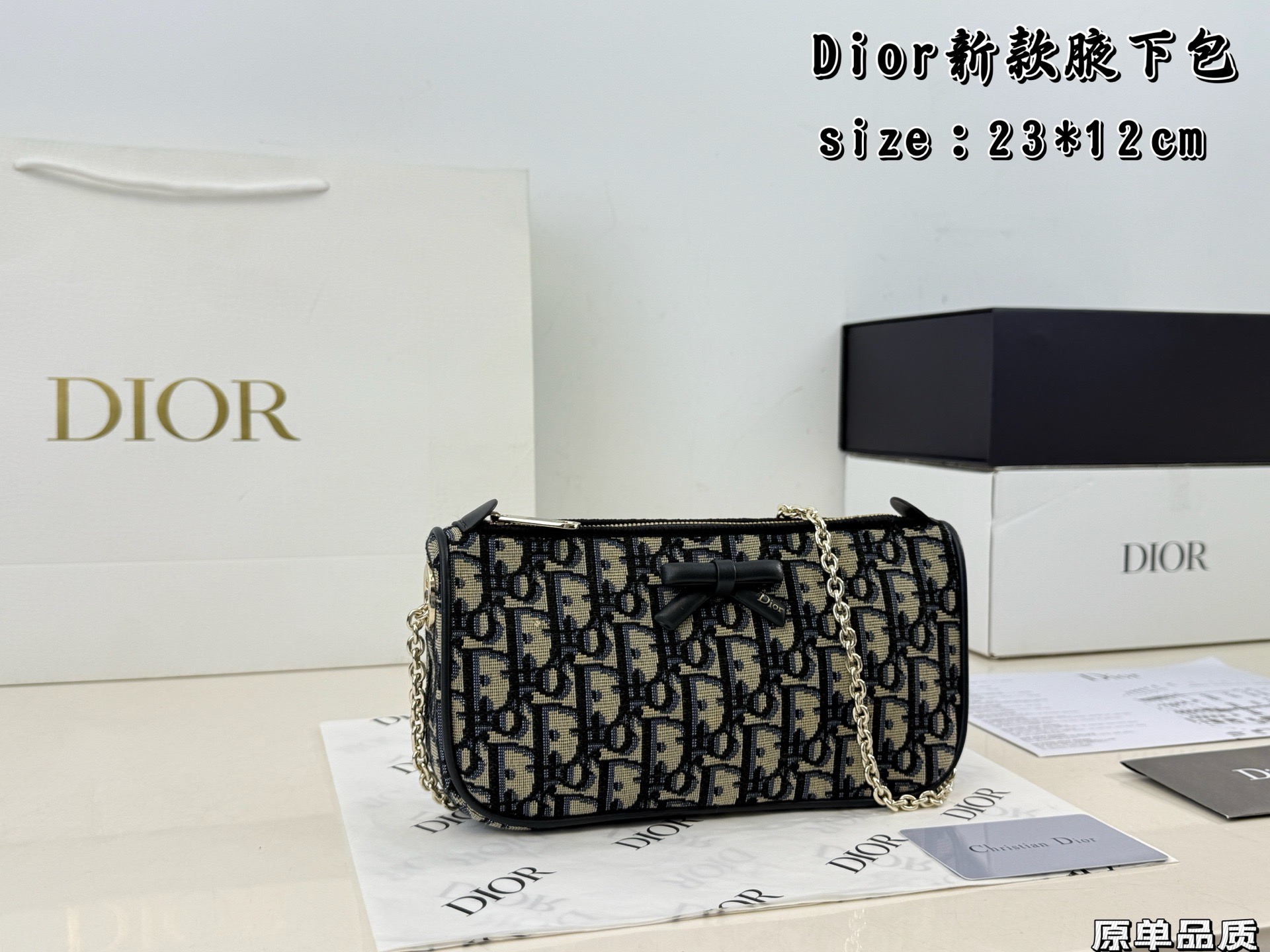 Dior Dark blue monogram underarm bag