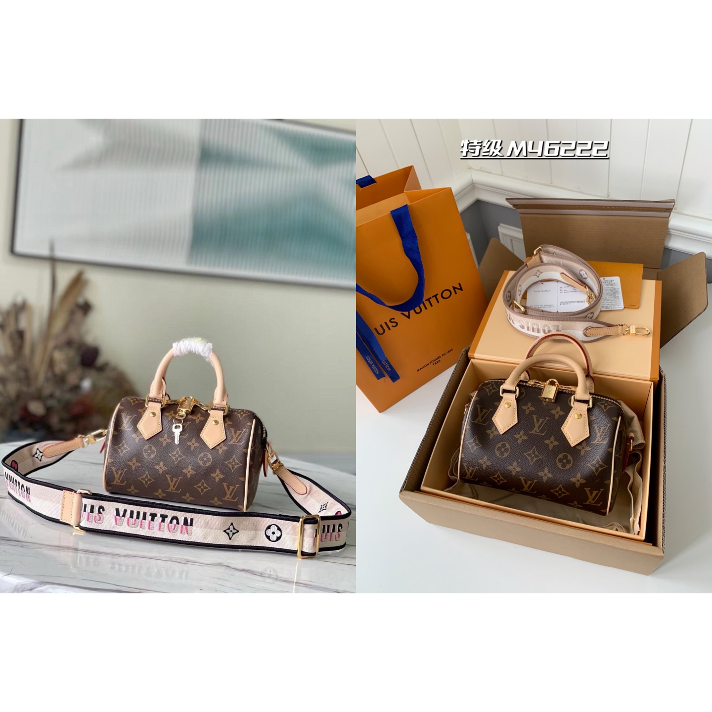 L X V  SPEEDY BANDOULIÈRE  M46222 size：20.5x13.5x12cm（Multiple colors）