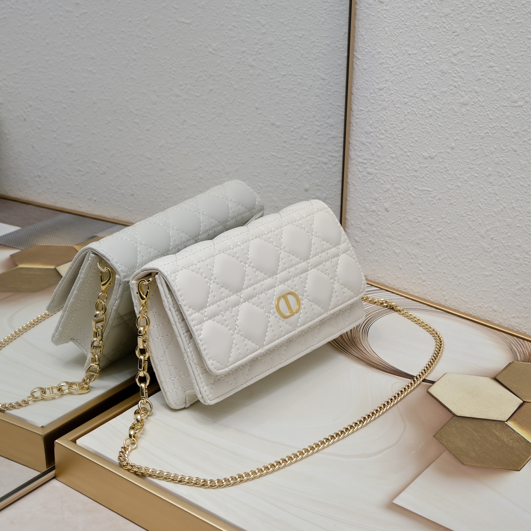 Dior Caro Pouch 5134 XB061 20cm