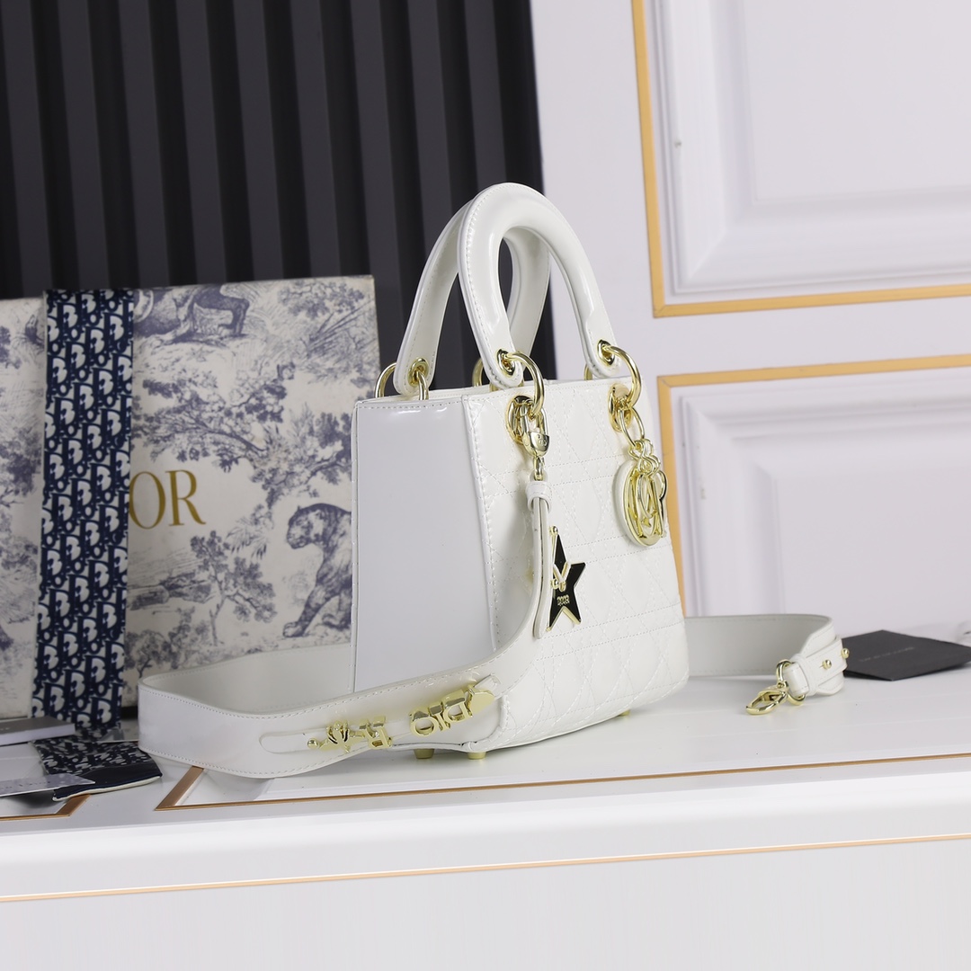 Dior2026XB081