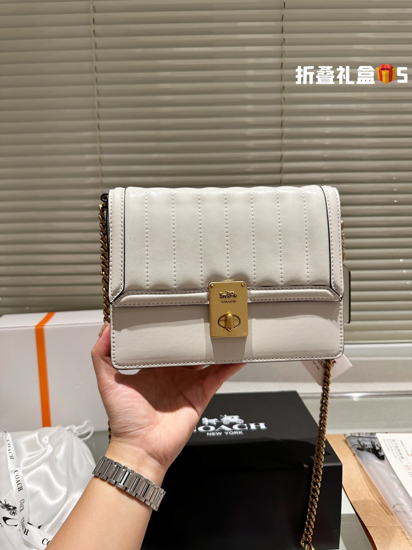 COACH Chain Bag 003 LLS091 21cm