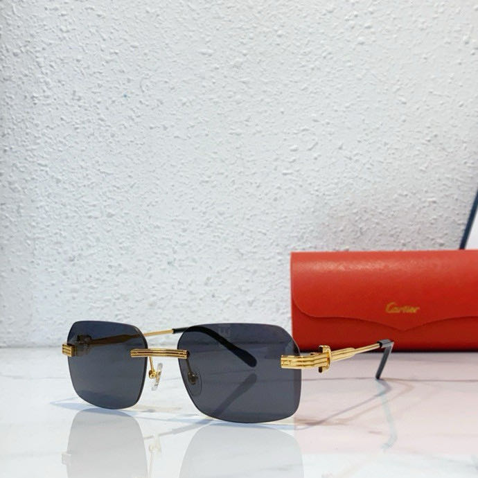 Cartier Sunglasses SM021