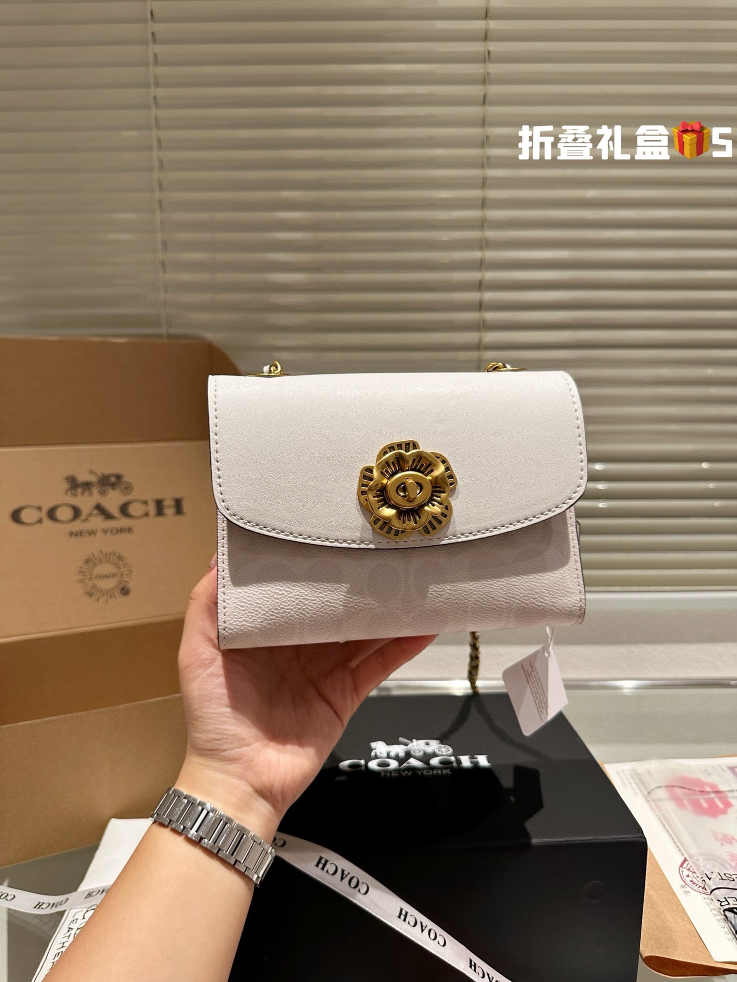 COACH Chain Bag 004 LLS071 18cm