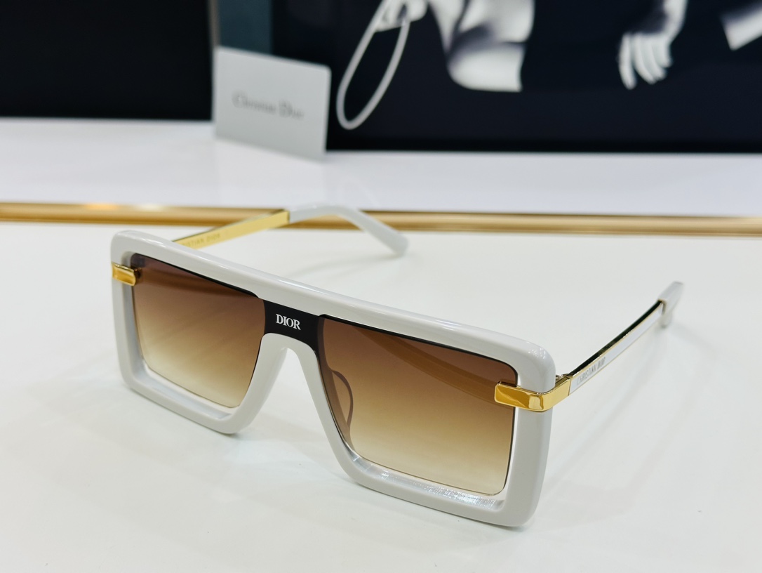 Dior Sunglasses CD1125 SM051