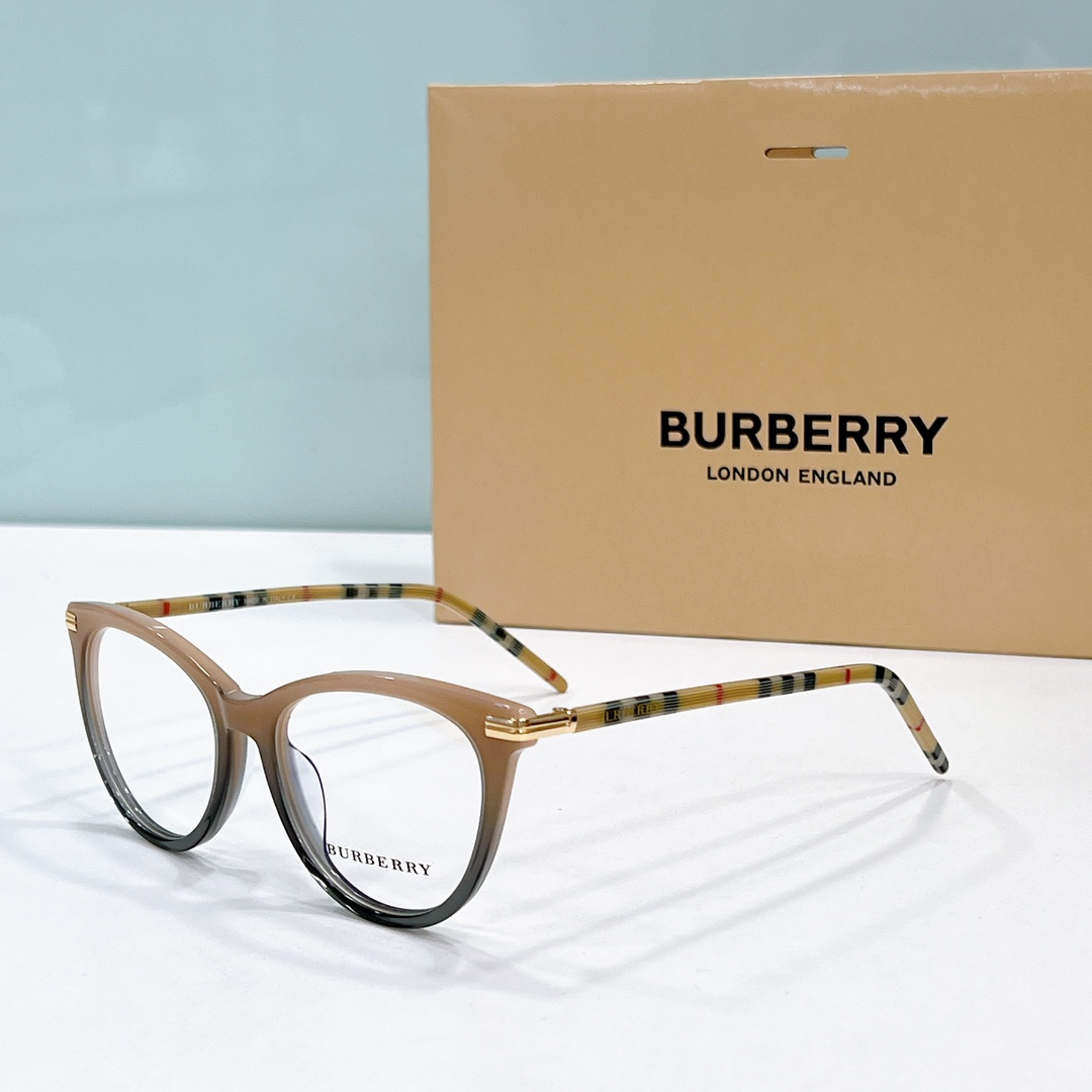 Burberry Sunglasses BE2372 SM501