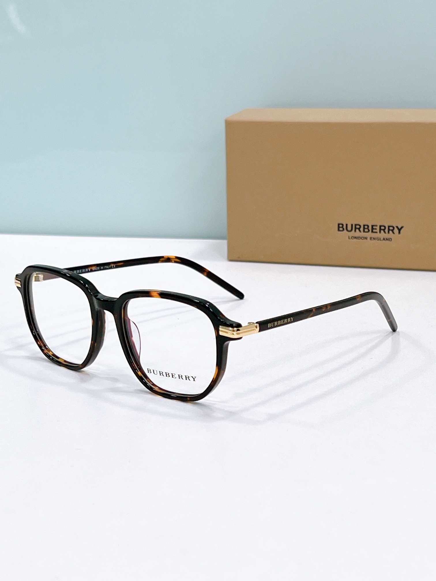 Burberry Sunglasses BE2373 SM501