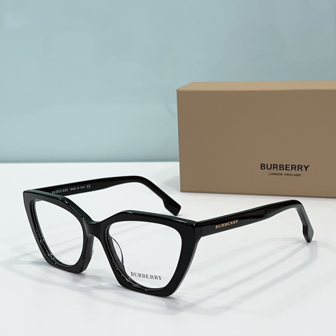 Burberry Sunglasses BB2394 SM501