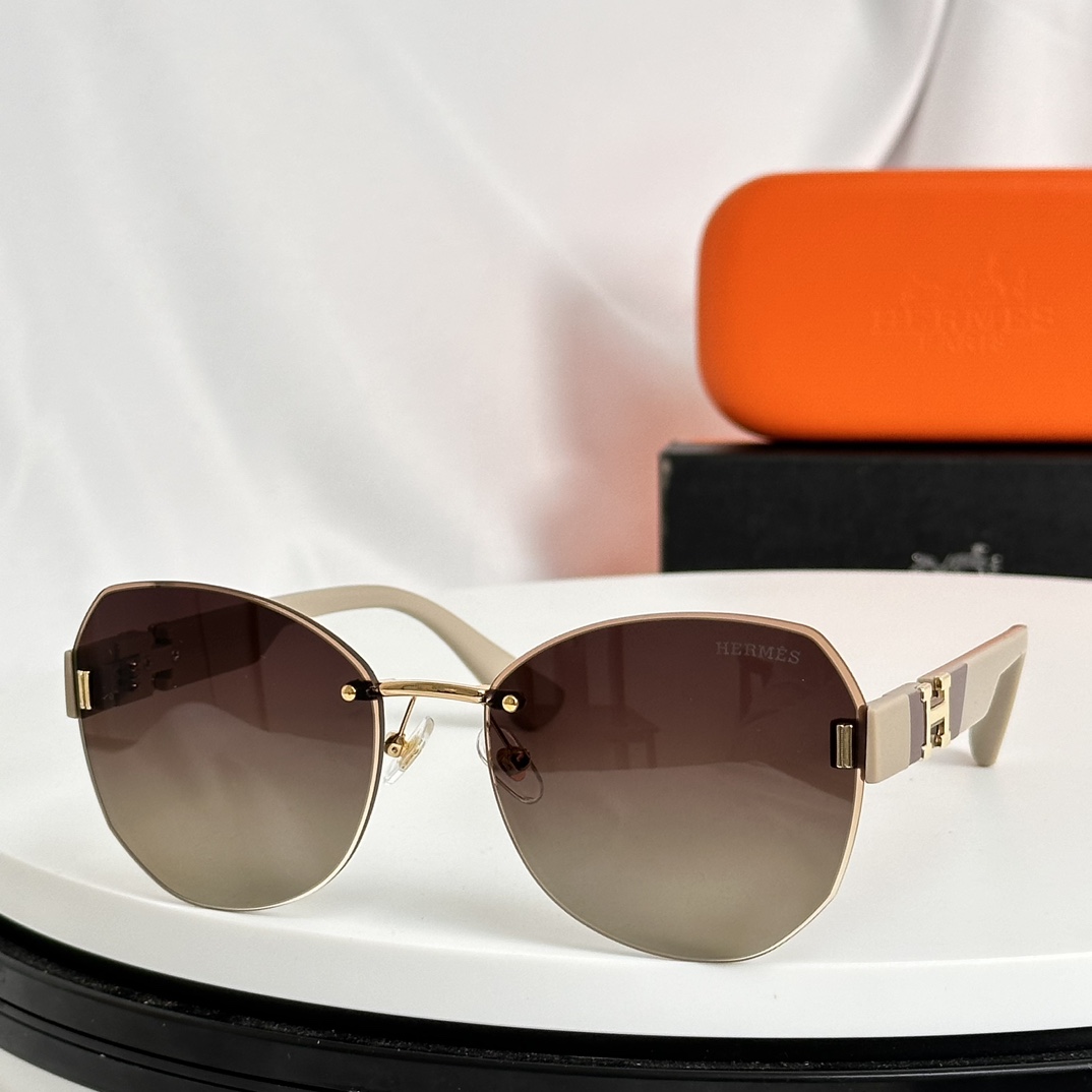 Hermes Sunglasses 6017 SM021