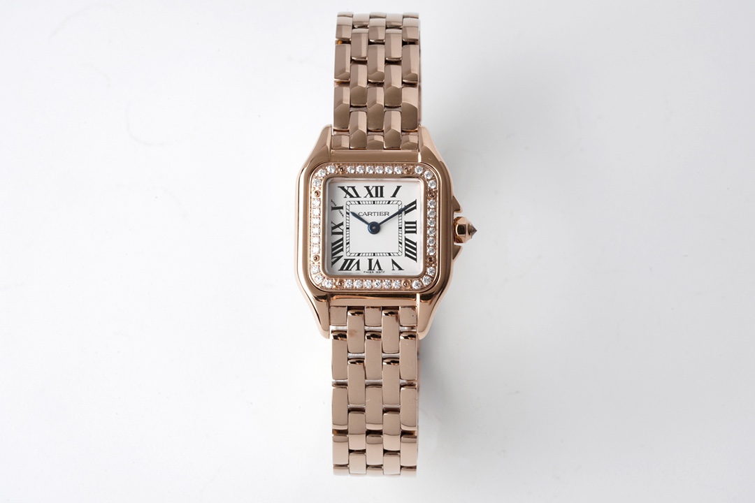 Panthère de Cartier 22*30mm