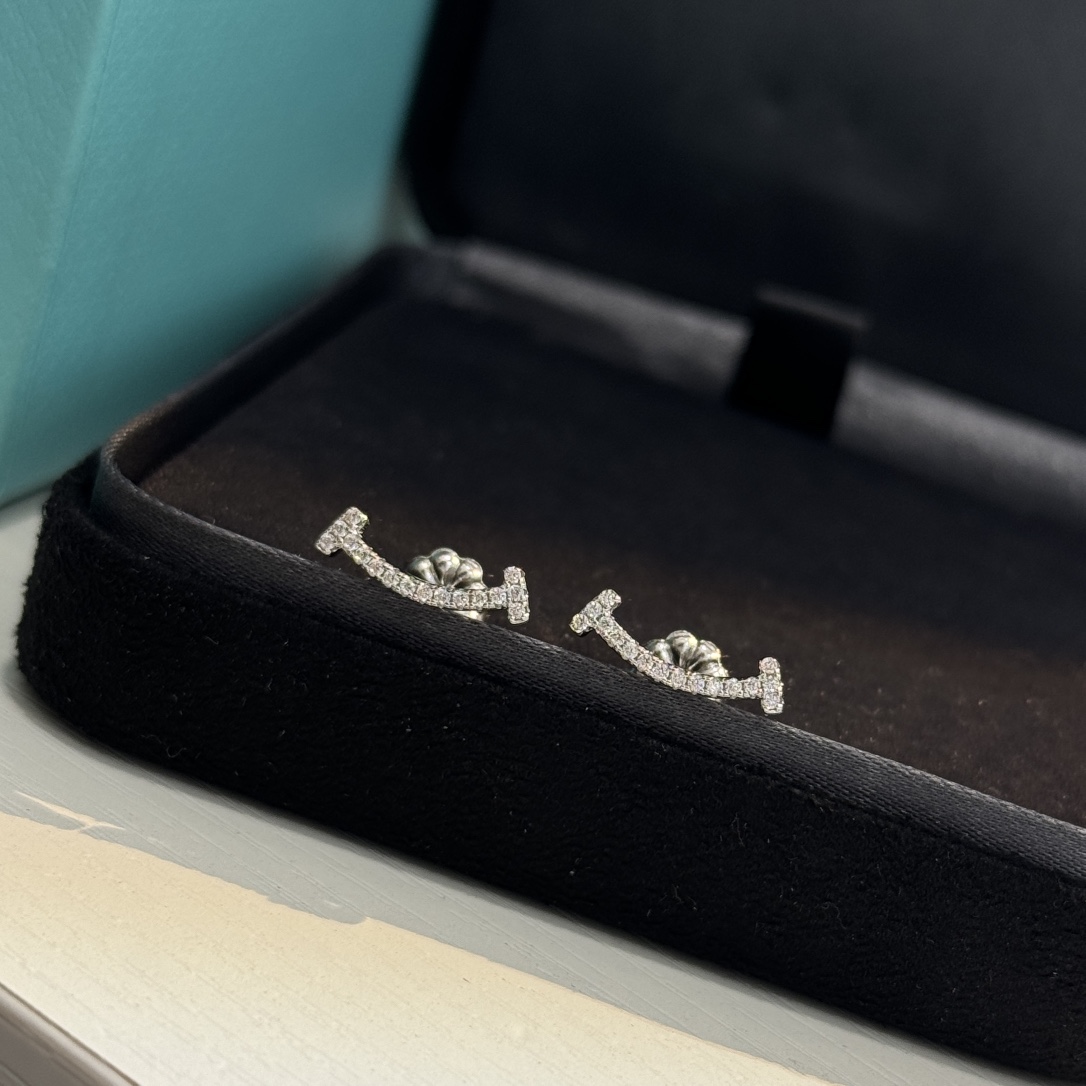 Tiffany & Co. Earring 003