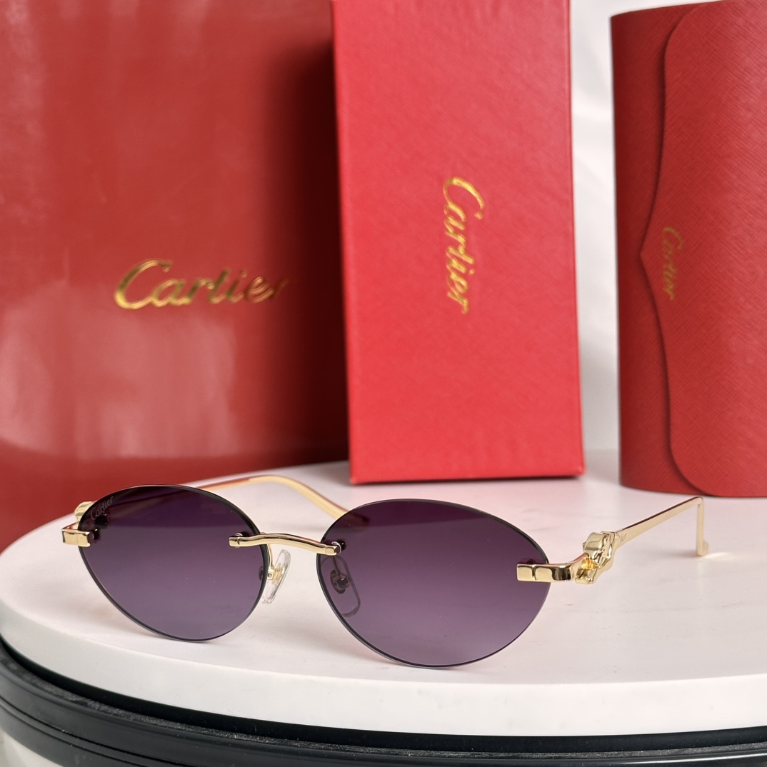 Cartier Sunglasses CT0504S SM021