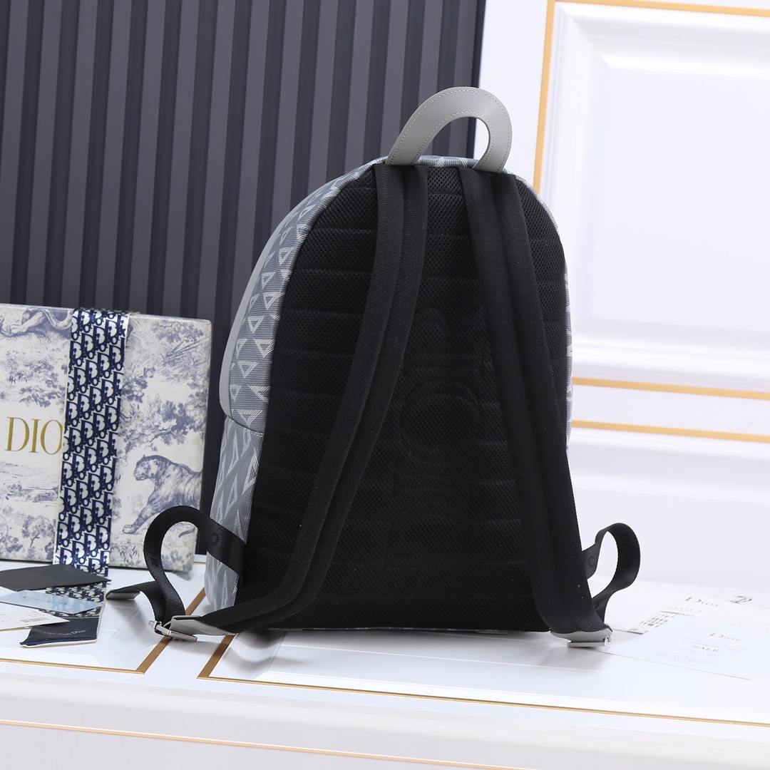 Large Rider Backpack Gray canvas 6601 LM032 30cm