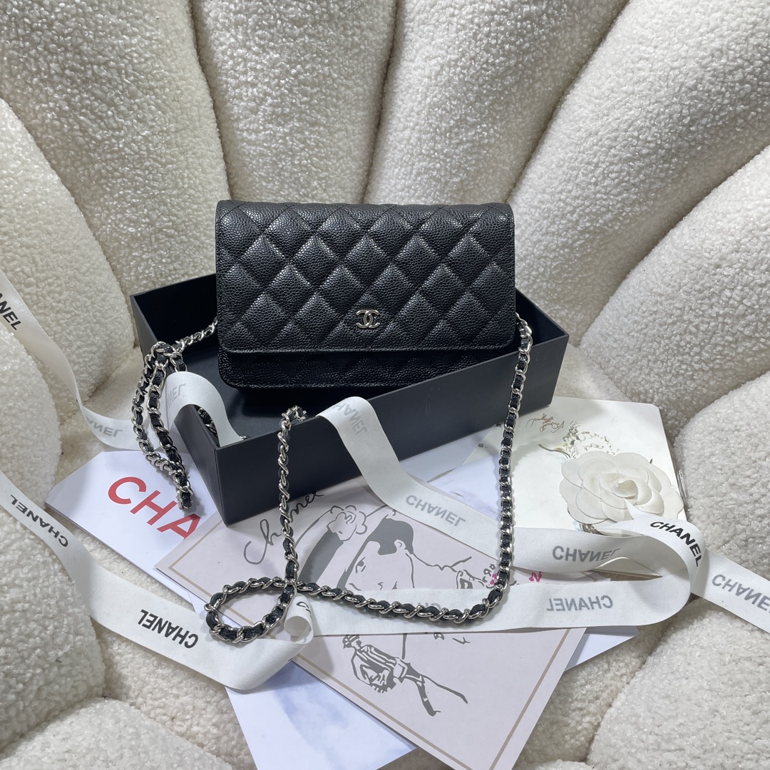 Top quality Chanel WOC 19cm 0250