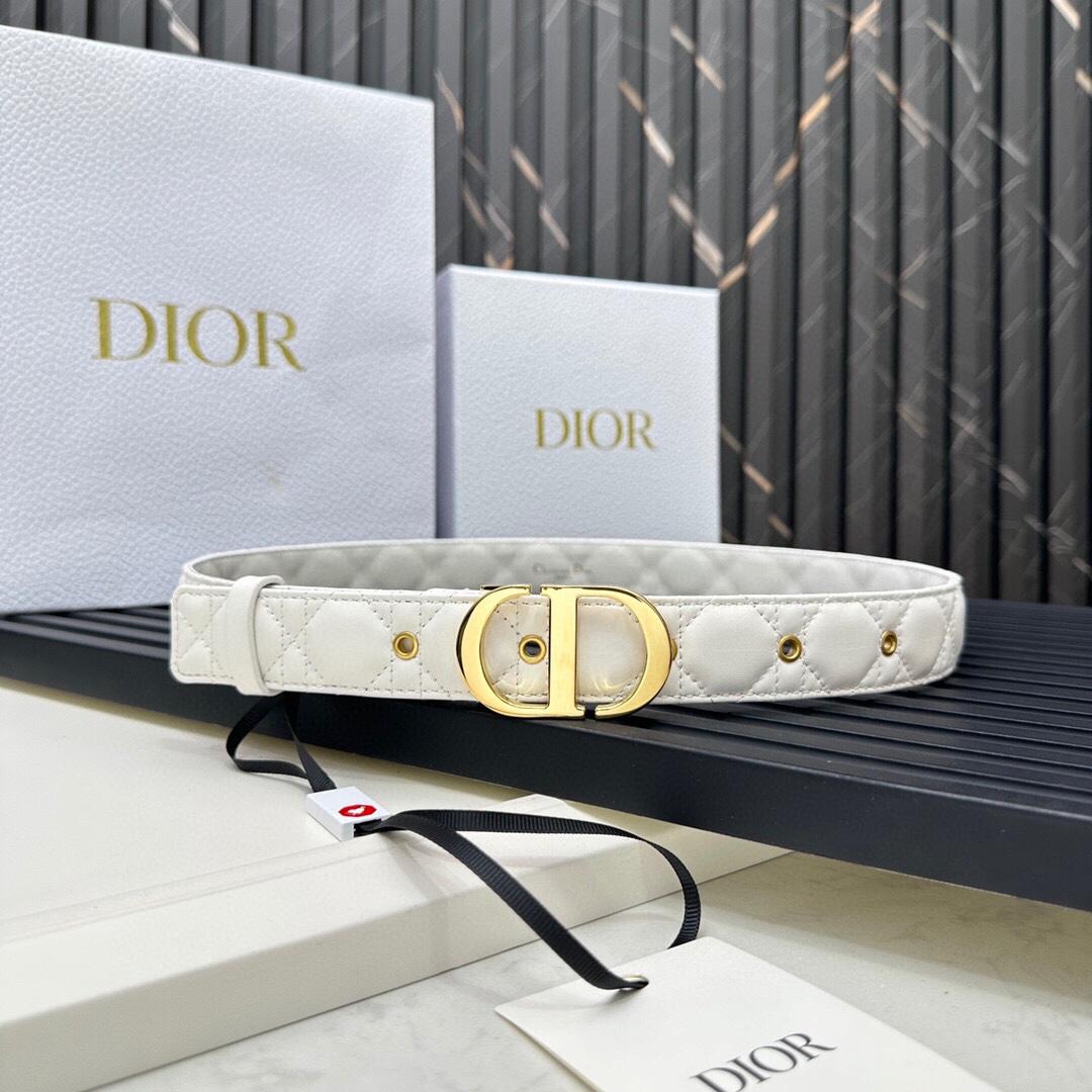 Dior Belt 014 3cm