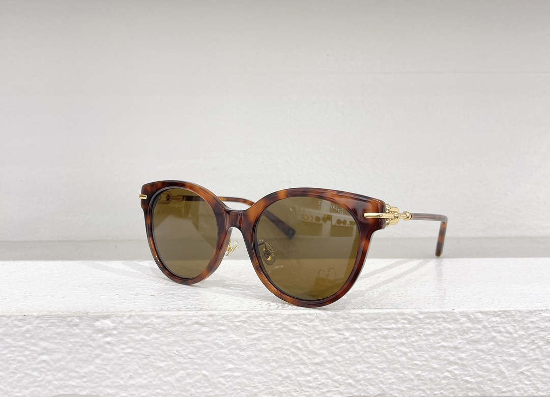Tiffany & Co. Sunglasses TF4223 SM041