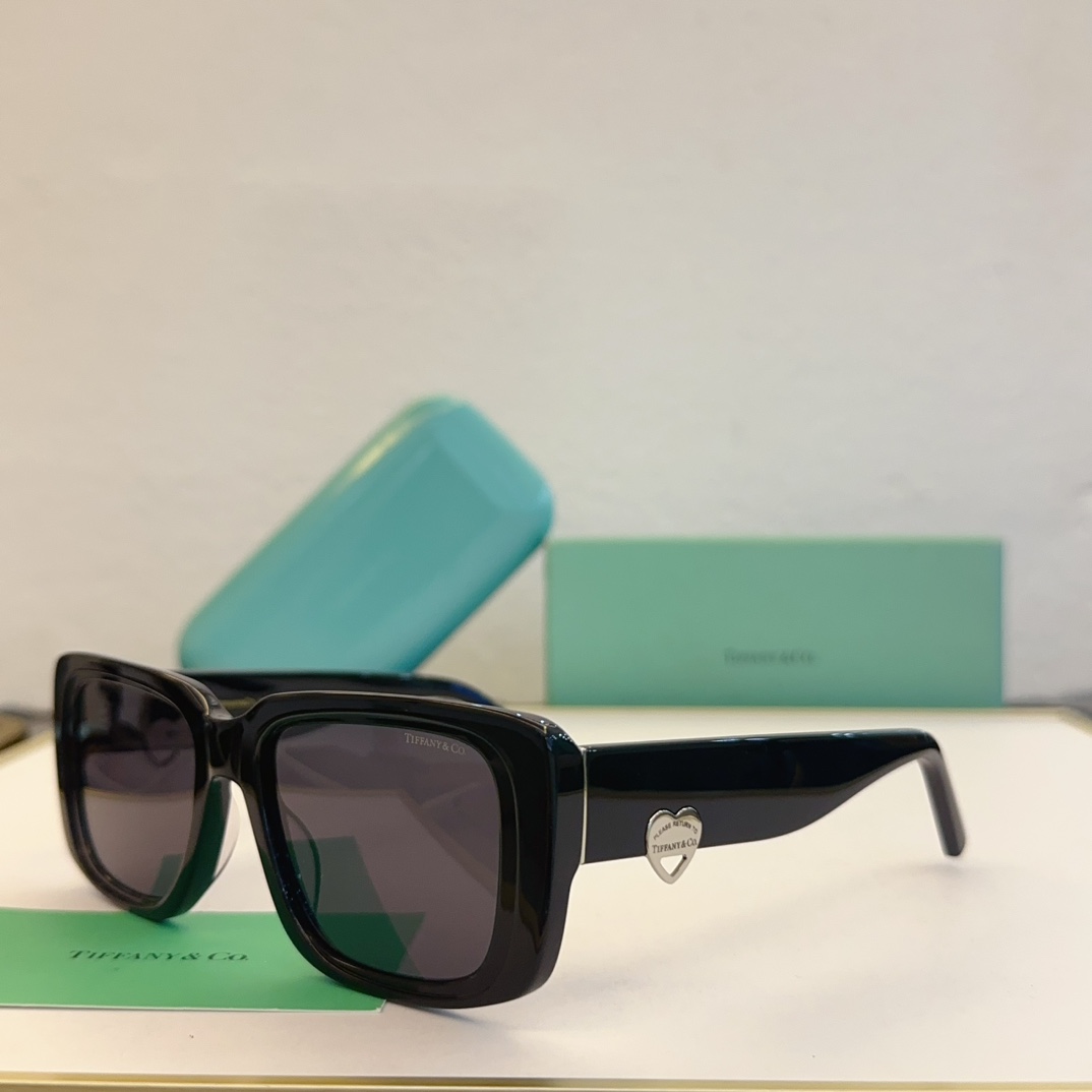 Tiffany & Co. Sunglasses TF5009 SM051