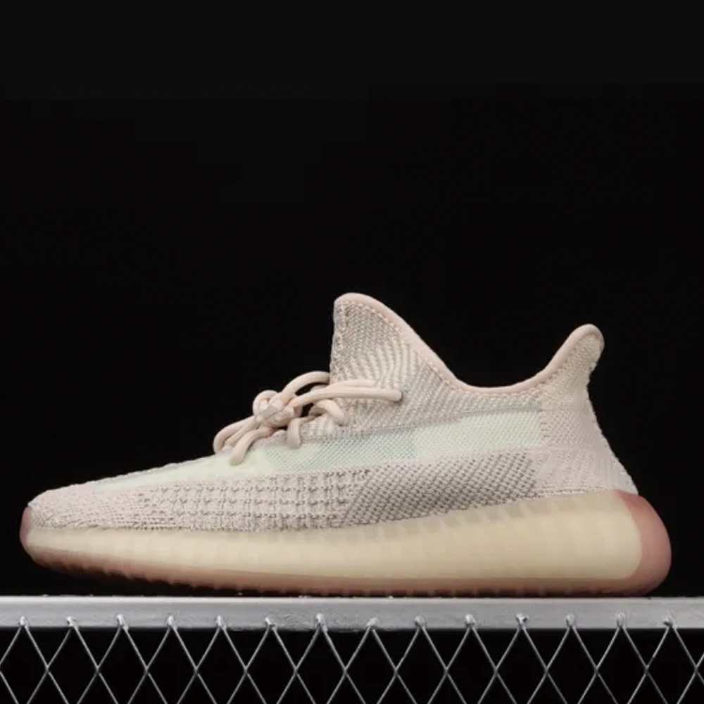 Yeezy Boost Basf 350 V2 FW5318