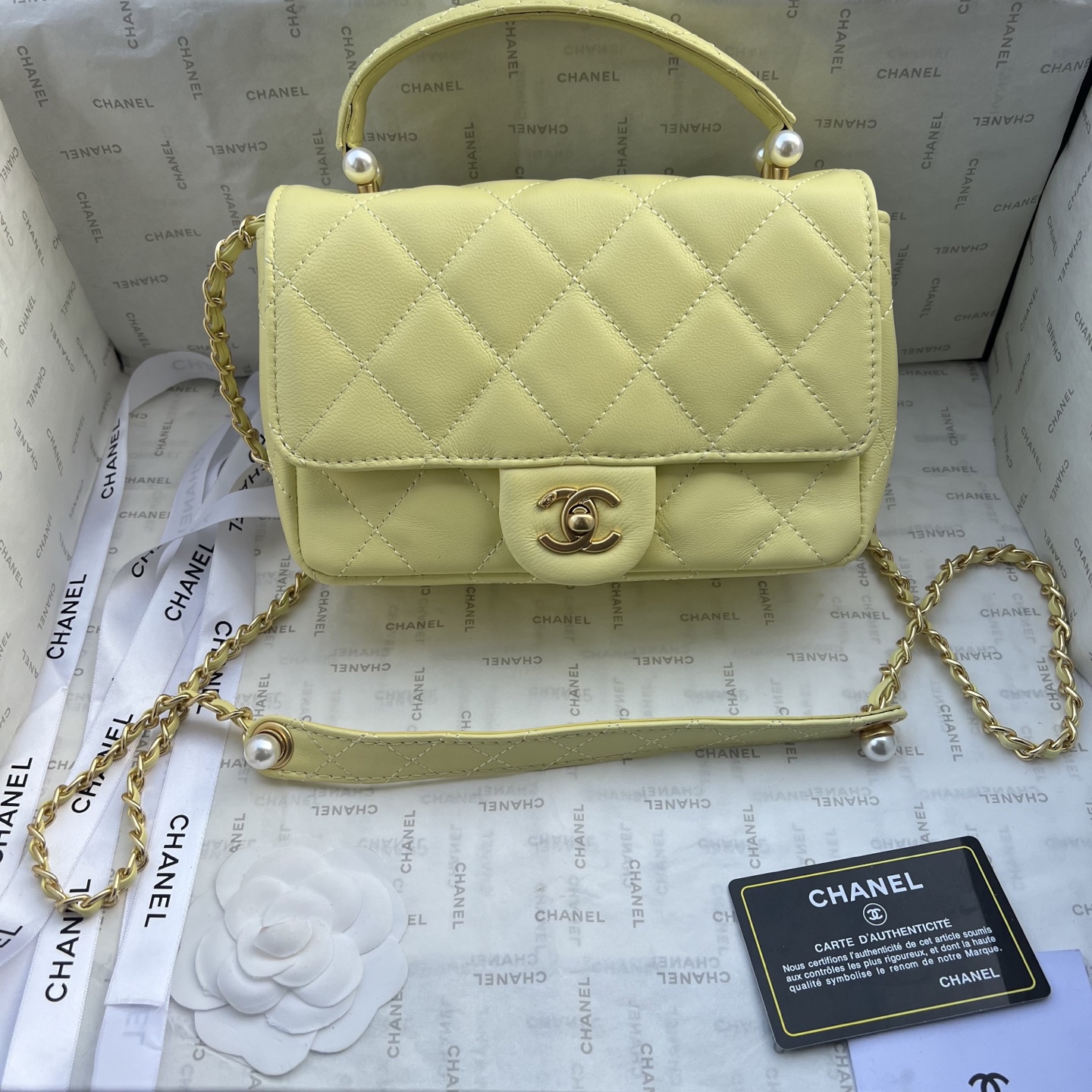 Chanel Camera bag 1225