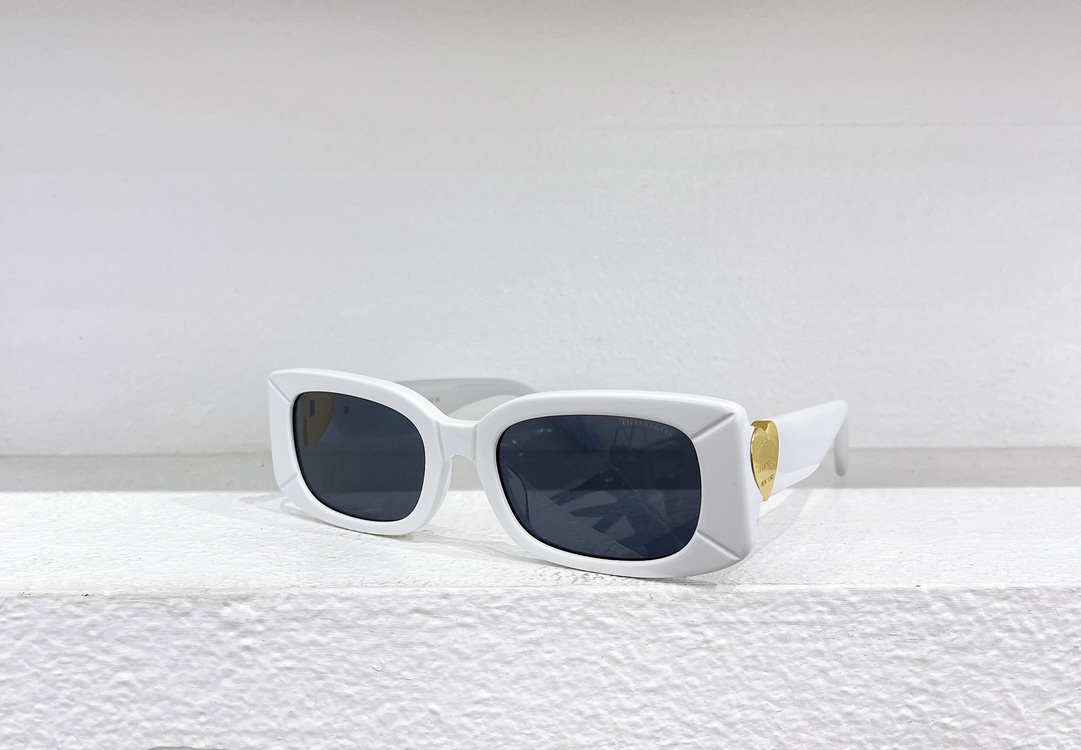 Tiffany & Co. Sunglasses TF5011 SM041