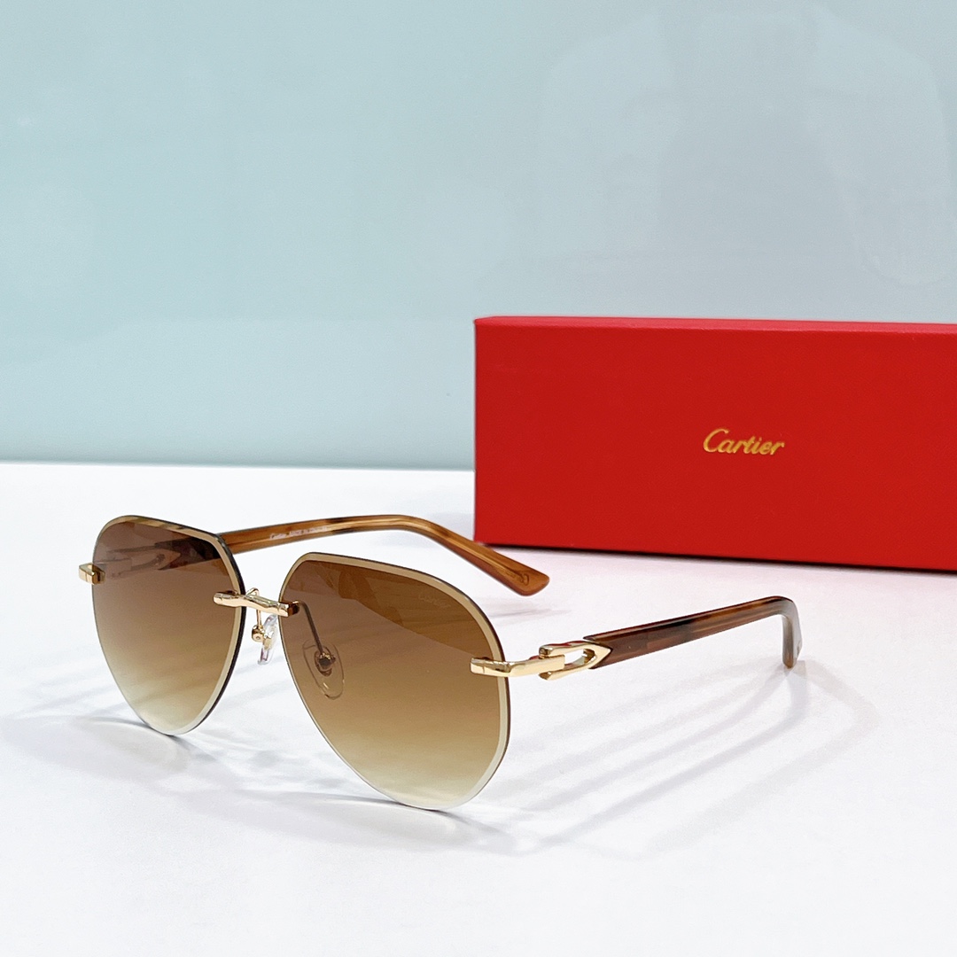 Cartier Sunglasses CT0440S SM021