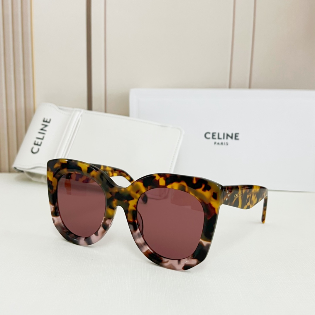 Celine Sunglasses CL4005FN SM041