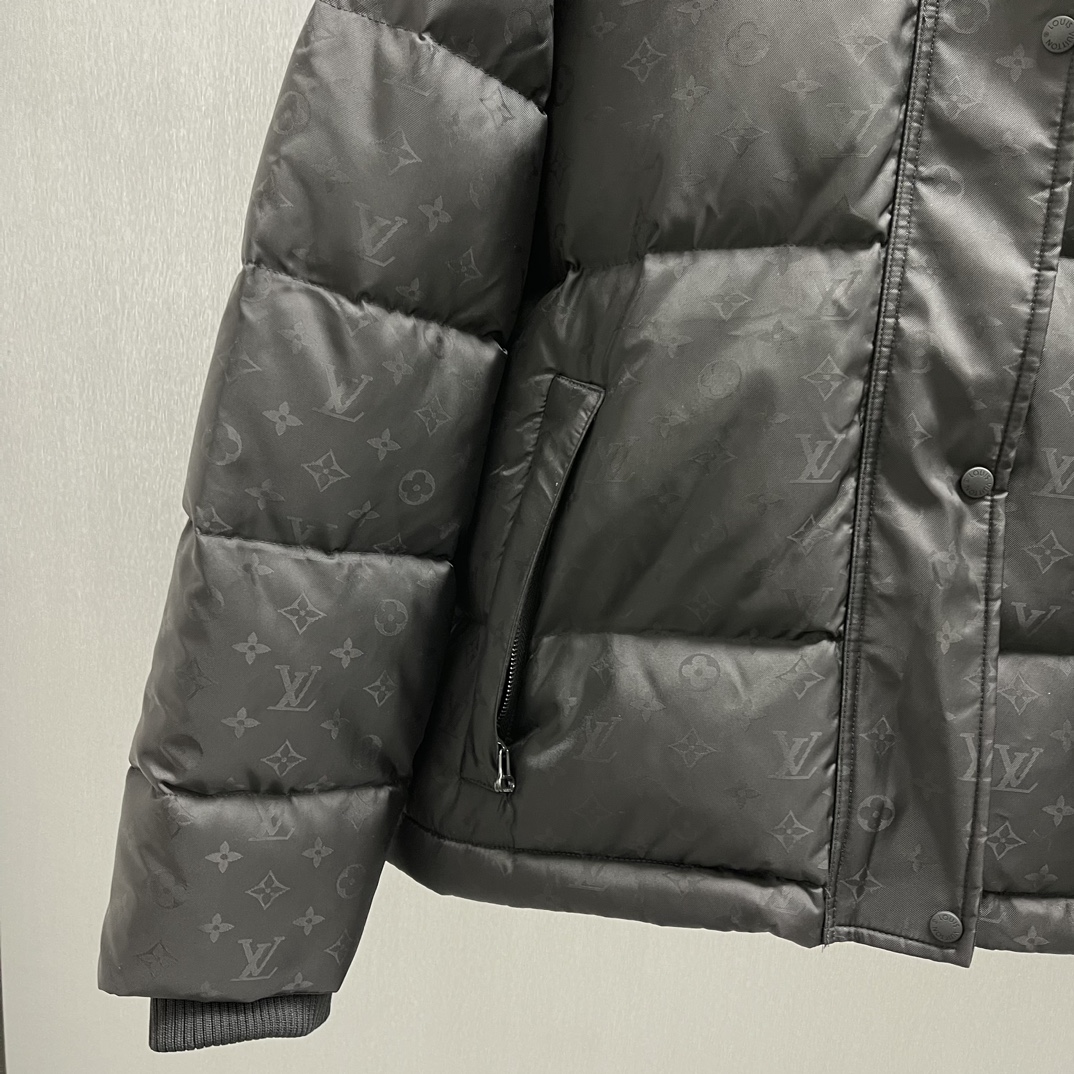 LV Down Jacket 002 M087
