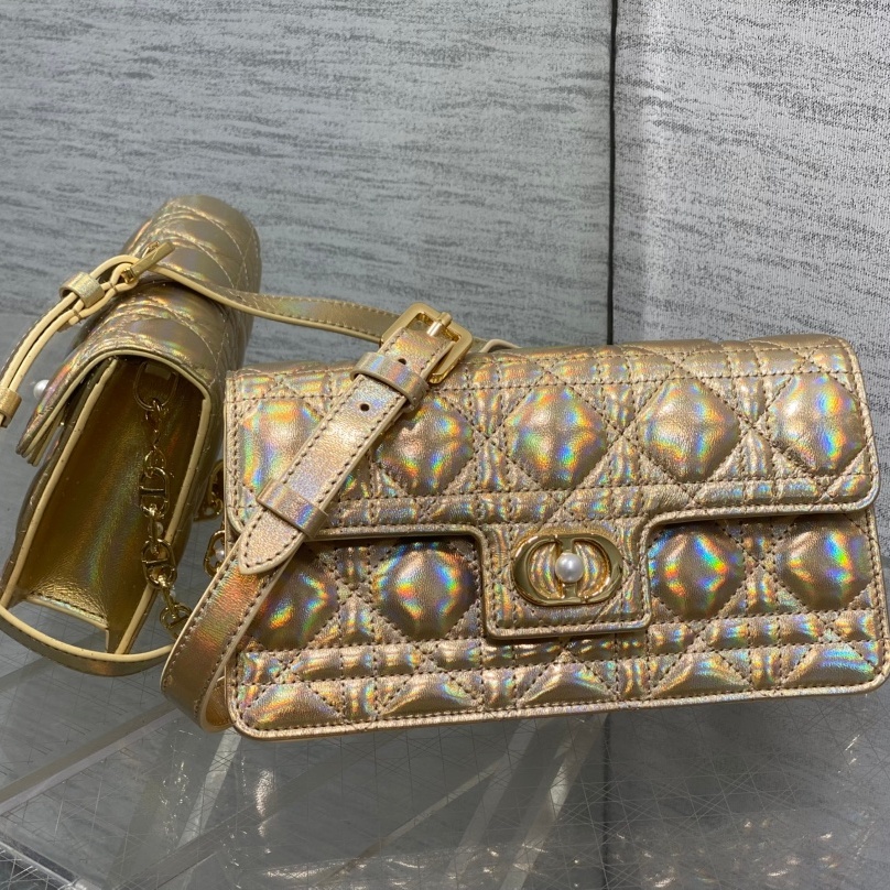 Dior Shoulder Bag Ladies' Favorite