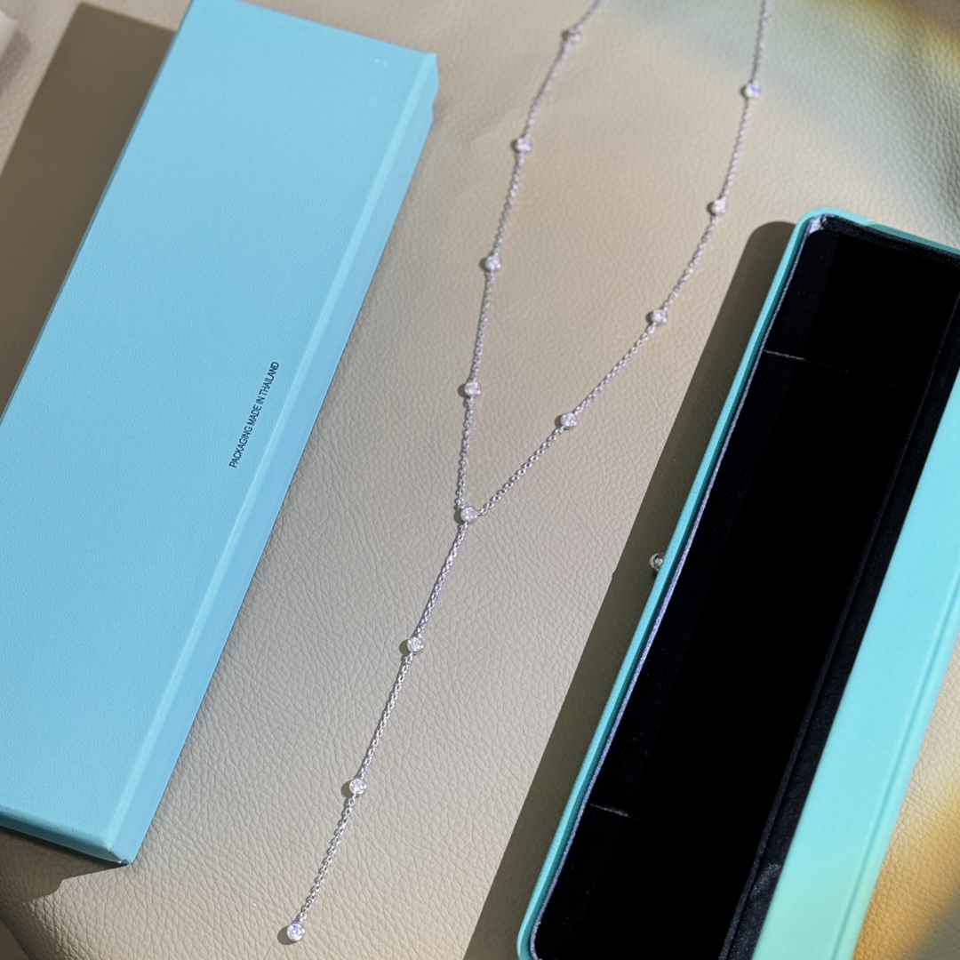 Tiffany & Co. Necklace 013