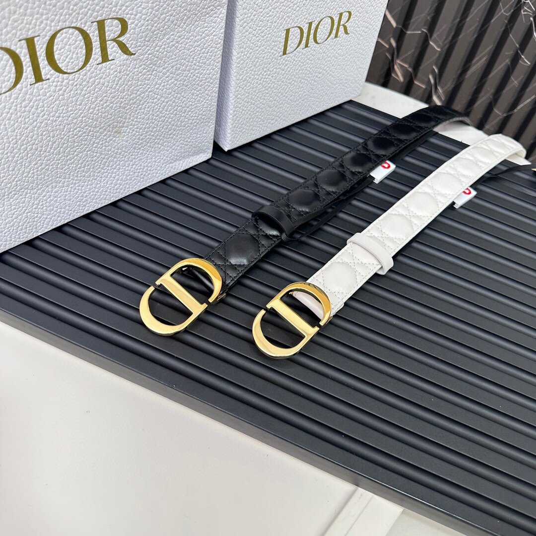 Dior Belt 014 3cm